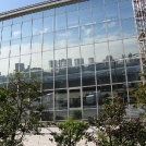 fuji terebi in glass